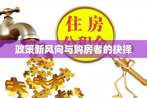 金乡政策新风向与购房者的抉择