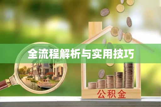 金乡全流程解析与实用技巧