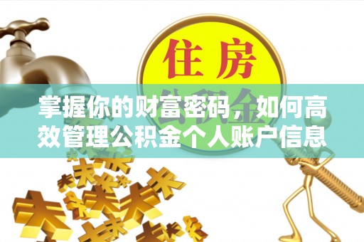 金乡掌握你的财富密码，如何高效管理公积金个人账户信息