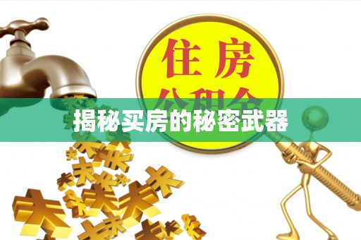 金乡揭秘买房的秘密武器
