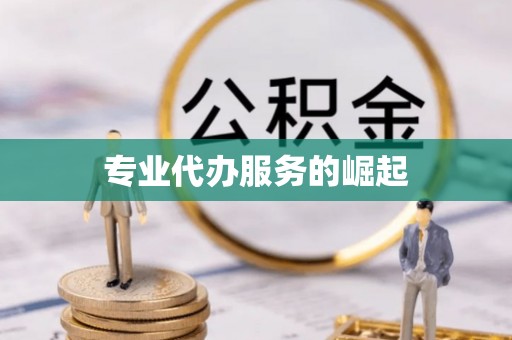 金乡专业代办服务的崛起