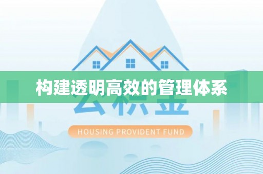 金乡构建透明高效的管理体系
