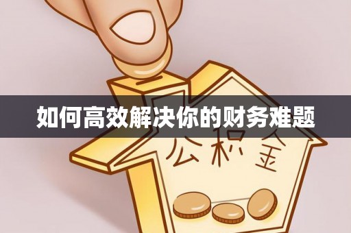 金乡如何高效解决你的财务难题