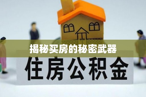 金乡揭秘买房的秘密武器