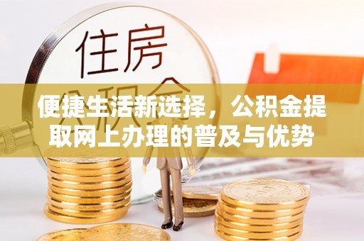 金乡便捷生活新选择，公积金提取网上办理的普及与优势