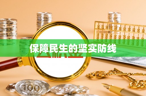 金乡保障民生的坚实防线