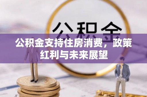 金乡公积金支持住房消费，政策红利与未来展望
