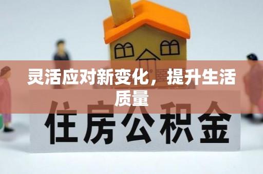 金乡灵活应对新变化，提升生活质量