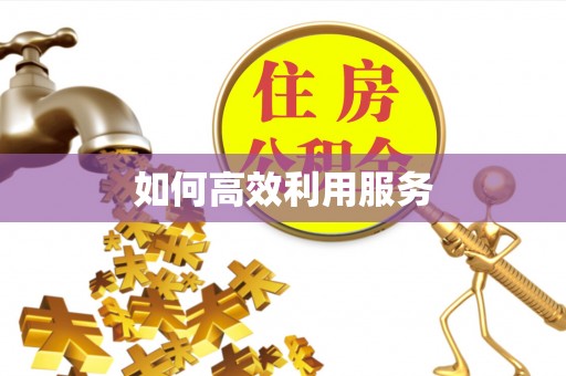 金乡如何高效利用服务
