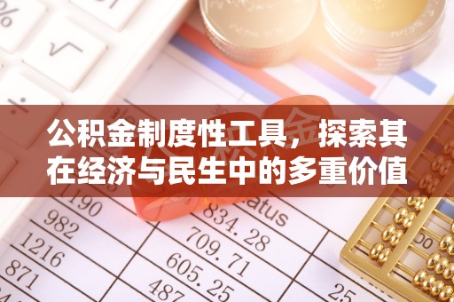 金乡公积金制度性工具，探索其在经济与民生中的多重价值