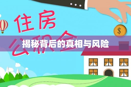 金乡揭秘背后的真相与风险