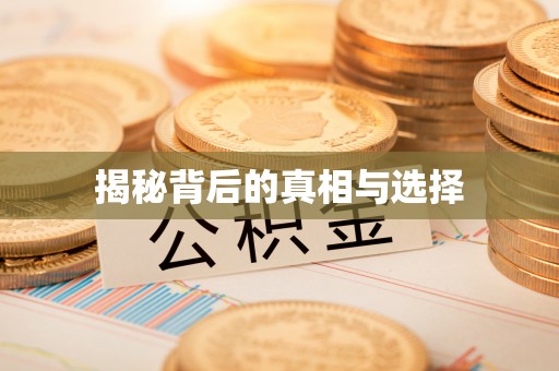 金乡揭秘背后的真相与选择