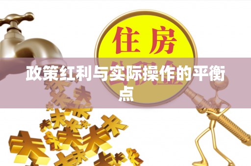 金乡政策红利与实际操作的平衡点