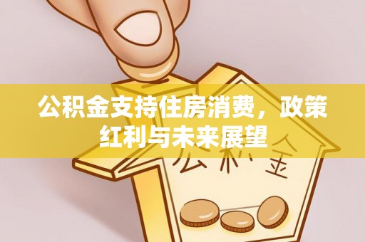 金乡公积金支持住房消费，政策红利与未来展望