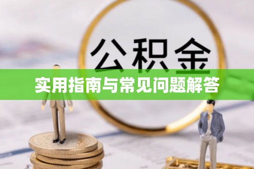 金乡实用指南与常见问题解答