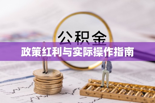 金乡政策红利与实际操作指南