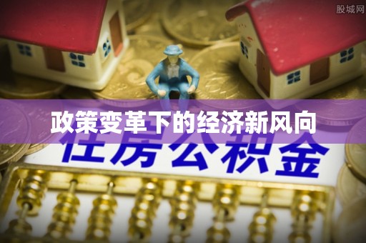 金乡政策变革下的经济新风向