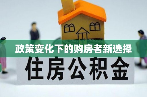金乡政策变化下的购房者新选择