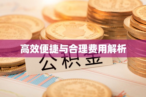 金乡高效便捷与合理费用解析
