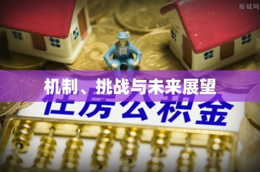 金乡机制、挑战与未来展望