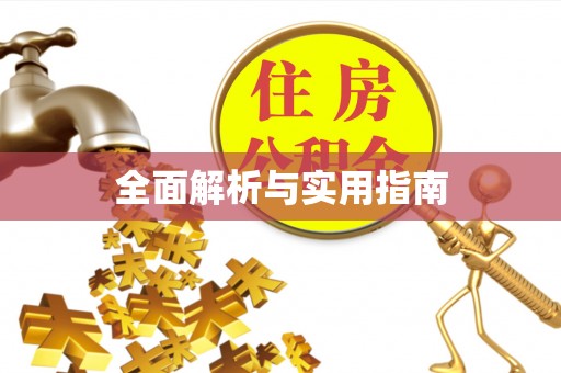 金乡全面解析与实用指南