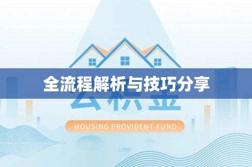 金乡全流程解析与技巧分享