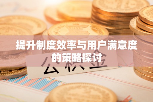 金乡提升制度效率与用户满意度的策略探讨