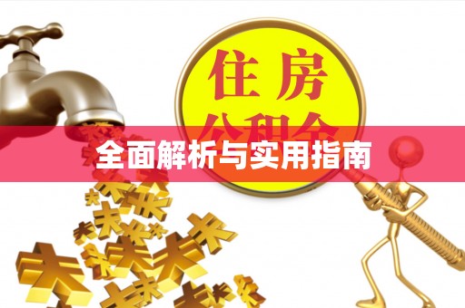 金乡全面解析与实用指南