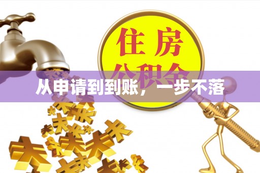 金乡从申请到到账，一步不落