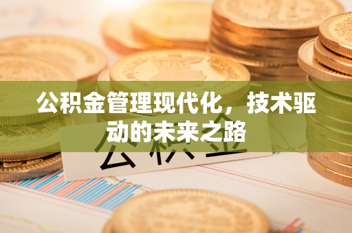 金乡公积金管理现代化，技术驱动的未来之路