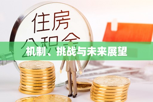 金乡机制、挑战与未来展望